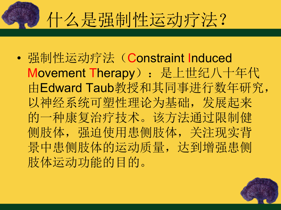 强制性运动疗法课件.ppt_第2页