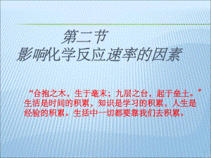 影响化学反应速率的因素-ppt课件.ppt