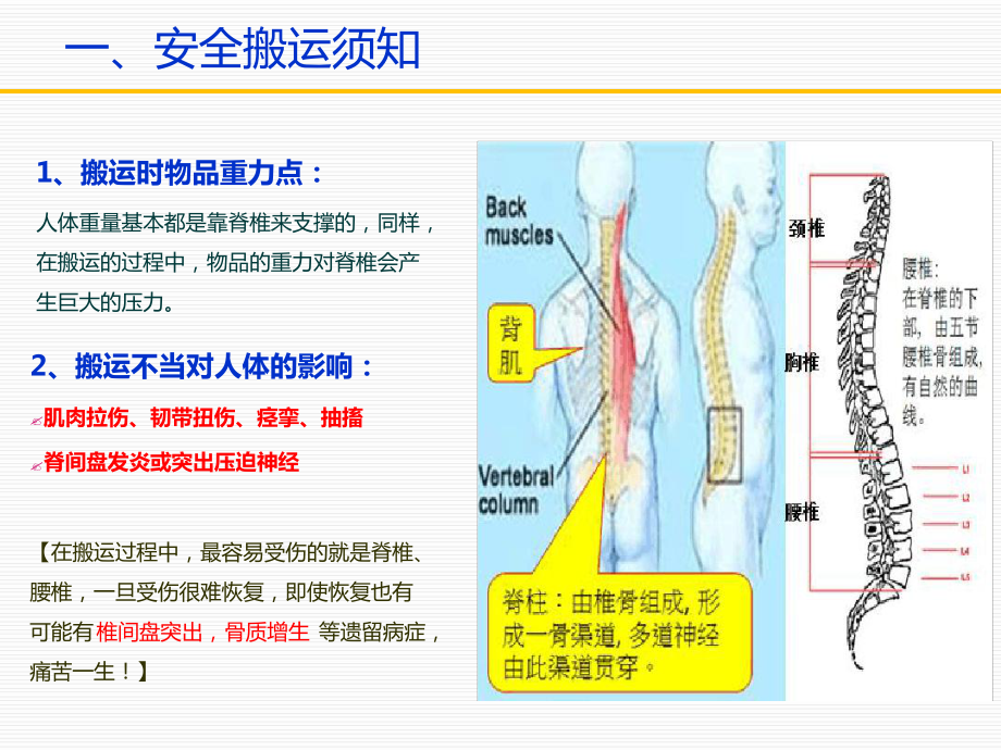 搬运安全培训.ppt课件.ppt_第2页