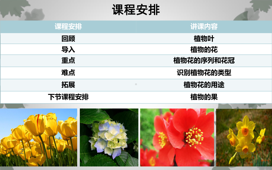 观赏植物学植物学形态学基础知识三节植物花PPT课课件.ppt_第2页