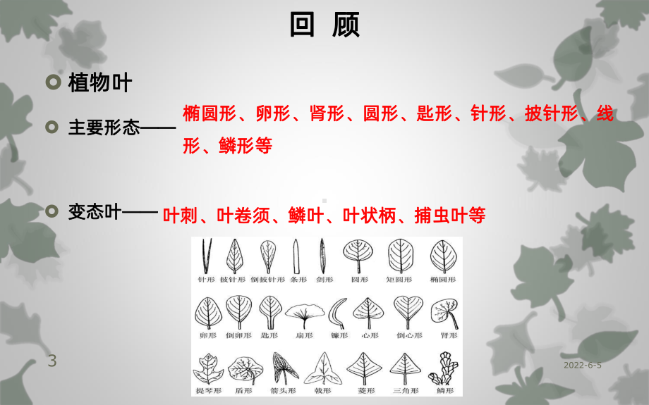 观赏植物学植物学形态学基础知识三节植物花PPT课课件.ppt_第3页