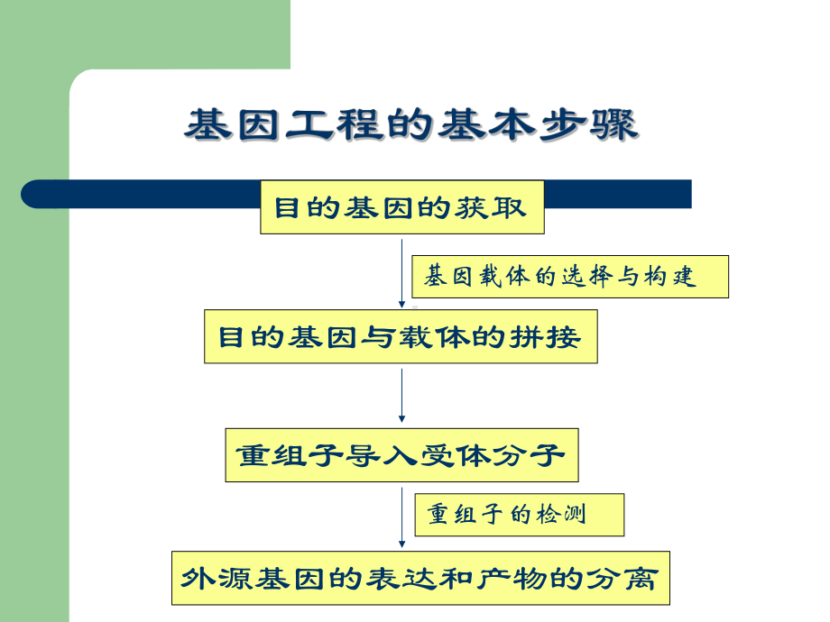 植物遗传转化方法和技术课件.ppt_第3页