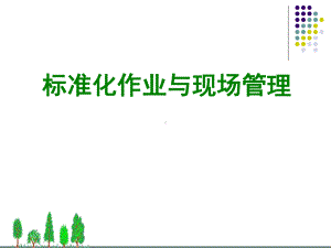 标准化作业与现场管理课件.ppt