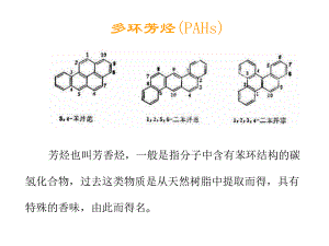 PAHS法规培训资料课件.ppt