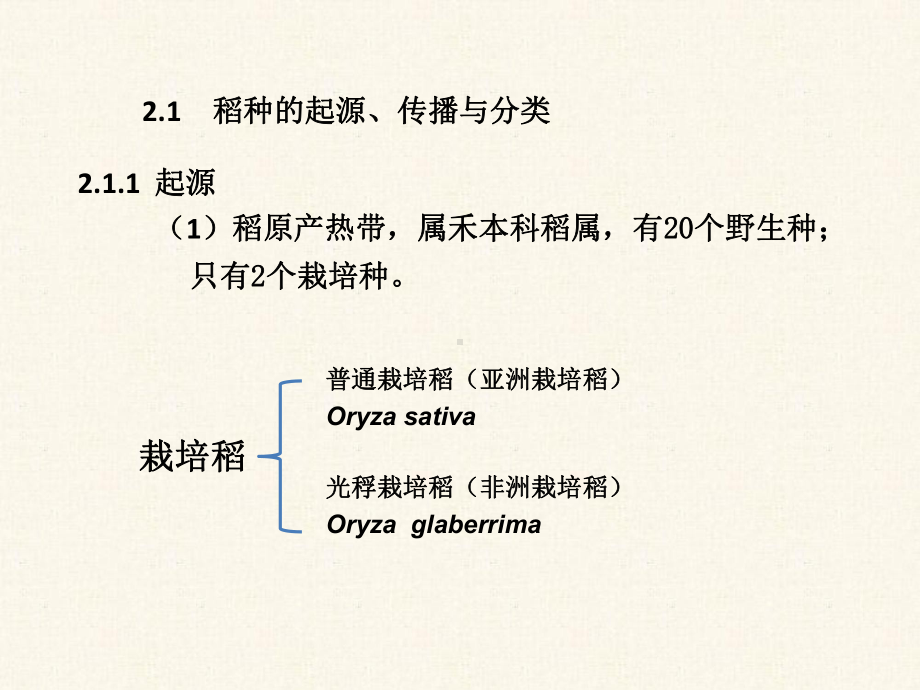 水稻栽培的生物学基础课件.ppt_第2页