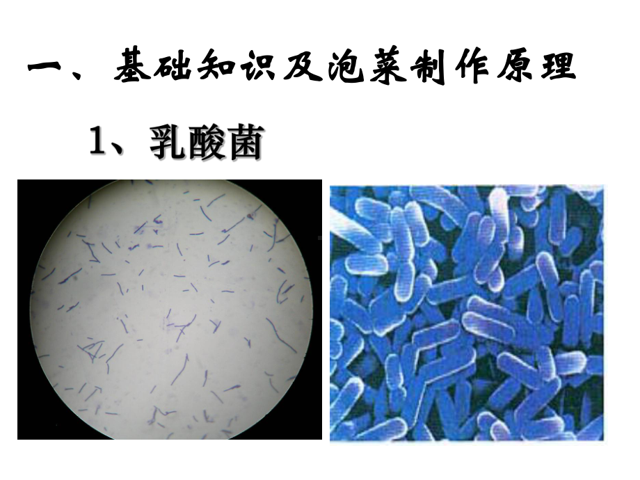 基础知识及泡菜制作原理课件.ppt_第2页