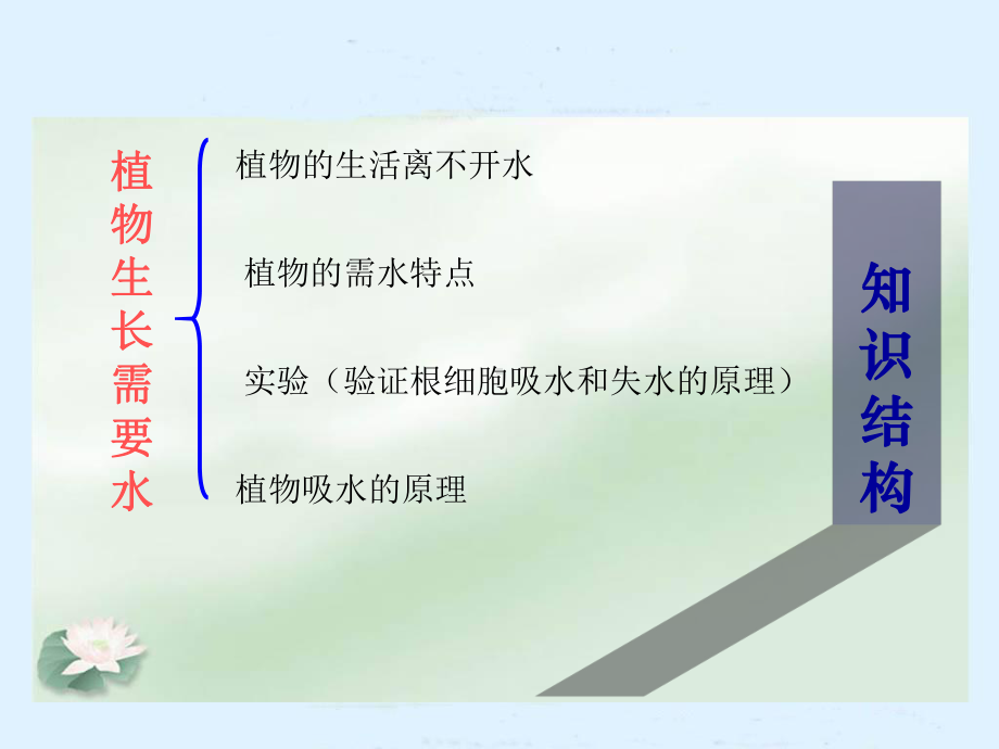 植物生长需要水和无机盐课件.ppt_第2页