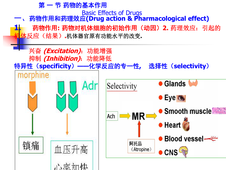 第3章-药物效应动力学课件.ppt_第2页