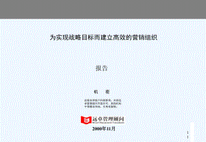 XX软件有限公司为实现战略目标而建立高效的营销组织课件.ppt