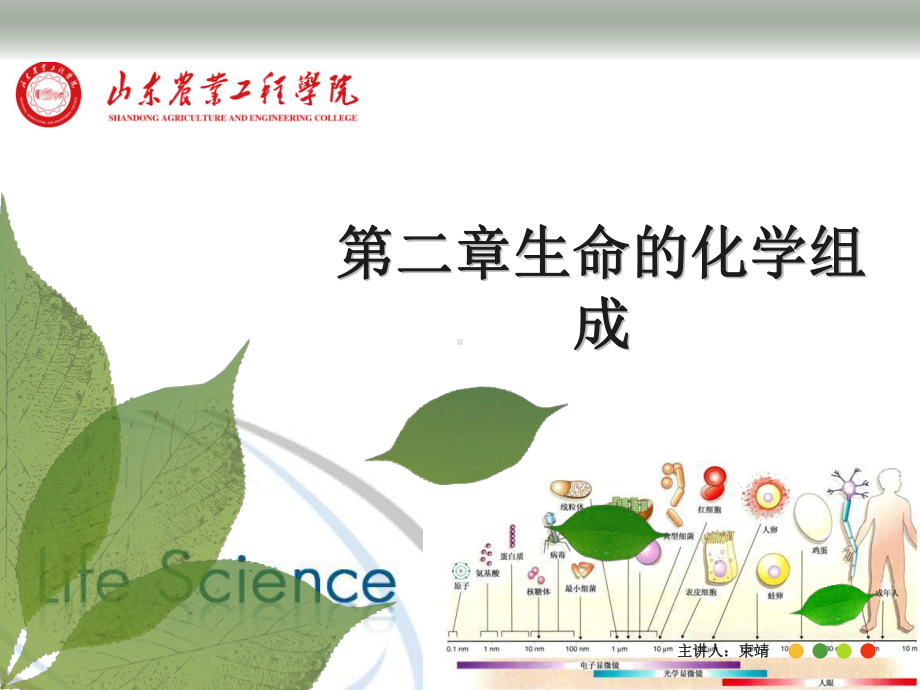 第二章生命的化学组成课件.ppt_第1页