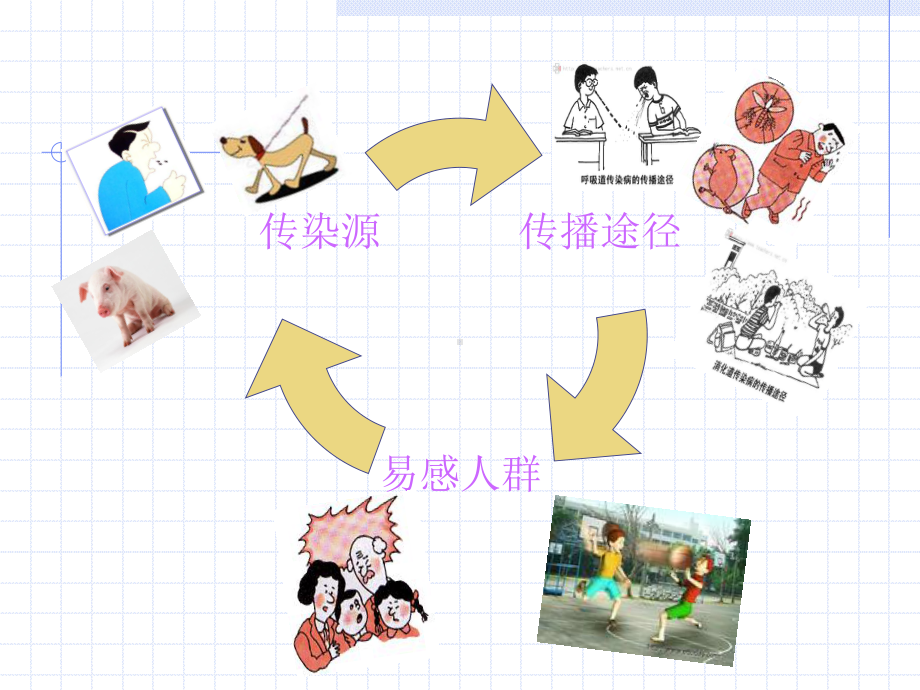 秋季常见传染病预防.课件.ppt_第3页