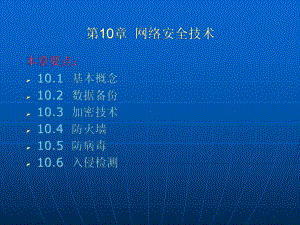 第10章网络安全技术课件.ppt