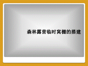 森林露营临时窝棚的搭建课件.ppt