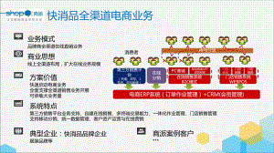 快消品全渠道电商业务课件.pptx