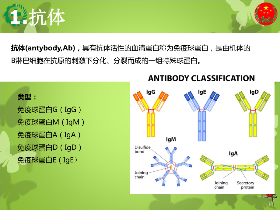 抗体类型与特点-基础知识课件.ppt_第2页