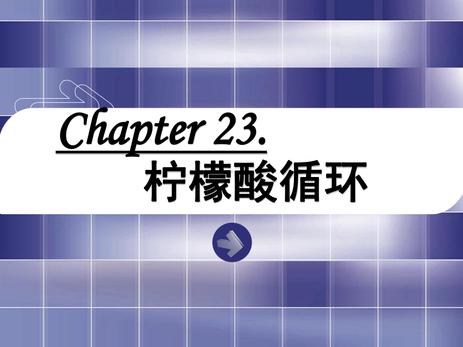 第23章-三羧酸循环.课件.ppt_第1页