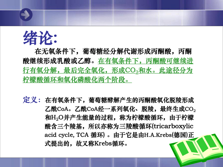 第23章-三羧酸循环.课件.ppt_第2页