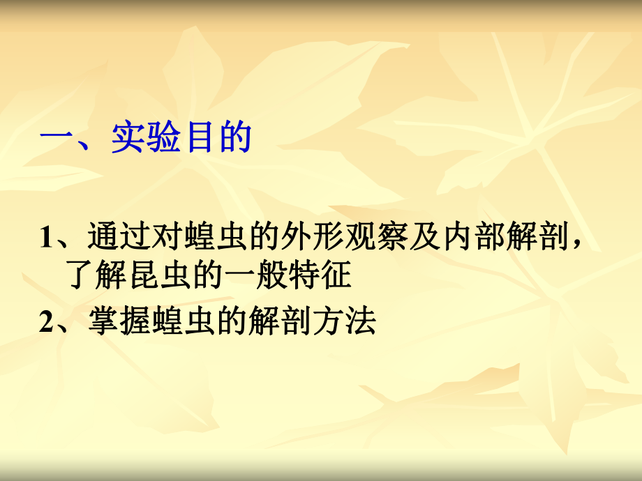 掌握蝗虫的解剖方法二课件.ppt_第2页