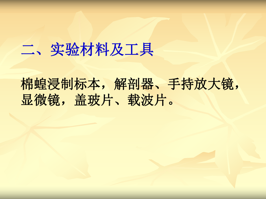 掌握蝗虫的解剖方法二课件.ppt_第3页