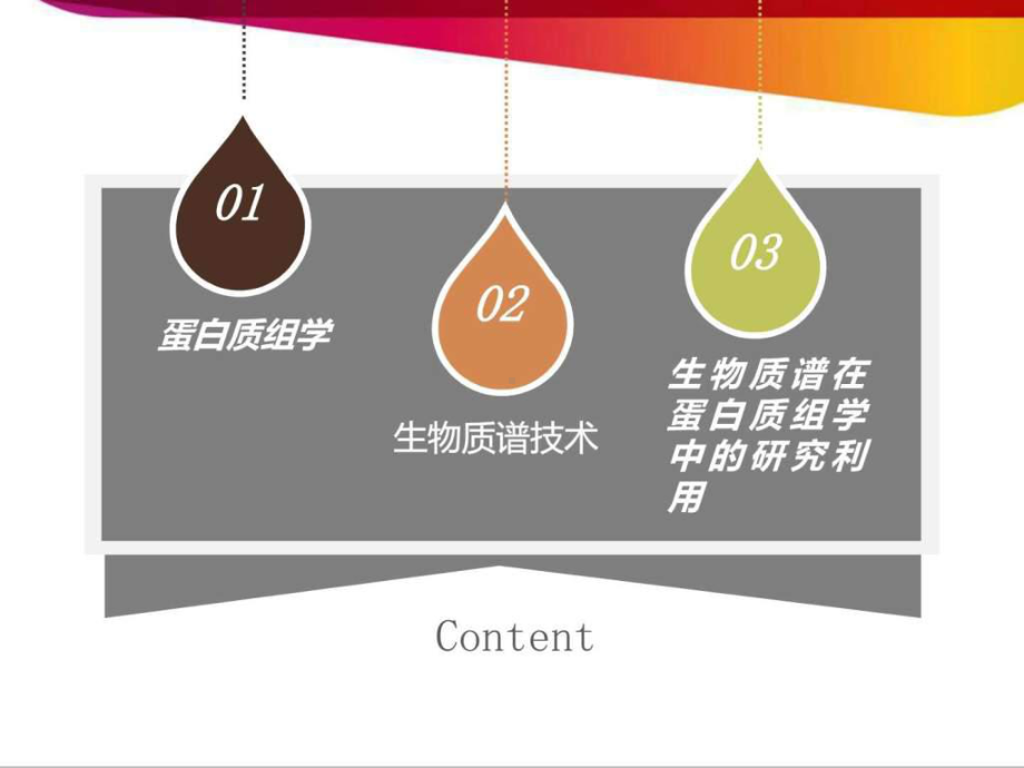 基于质谱蛋白质组学分析课件.ppt_第2页