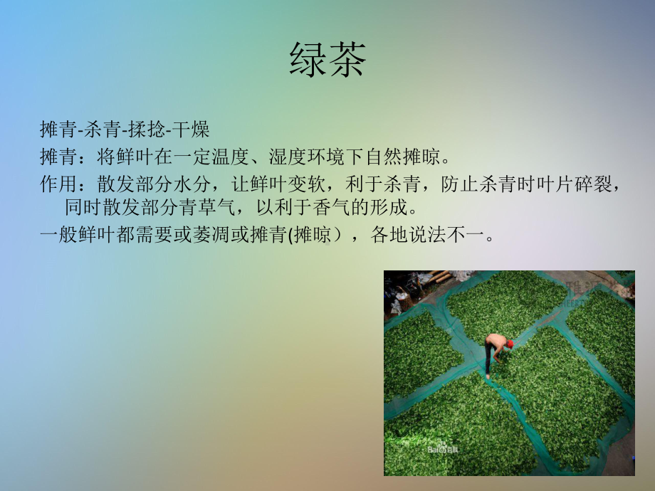 茶叶生产加工培训课程课件.ppt_第2页