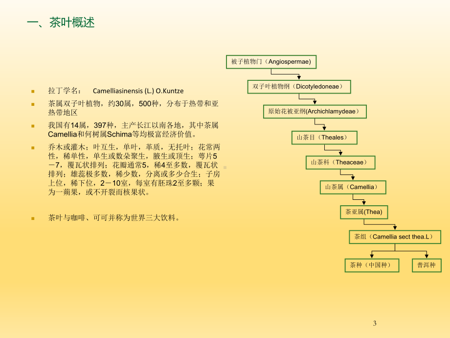 最新茶叶病虫害防治技术讲述课件.ppt_第3页