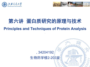 蛋白质研究原理与技术课件.ppt