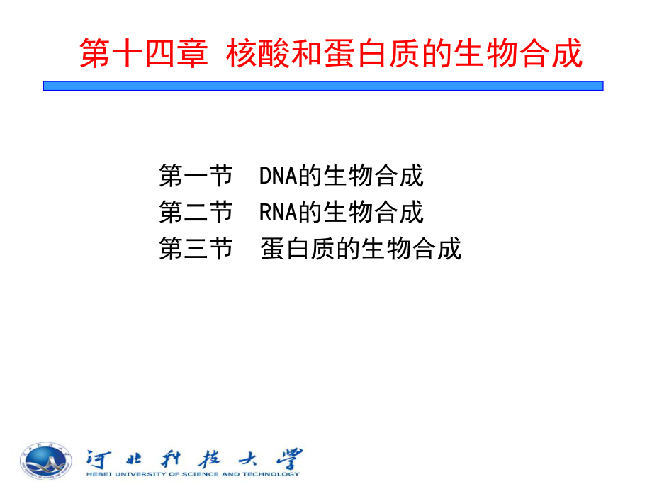 核酸和蛋白质的生物合成课件.ppt_第1页