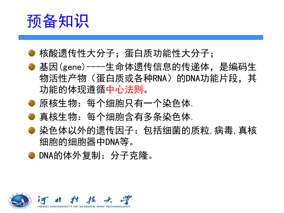 核酸和蛋白质的生物合成课件.ppt_第2页