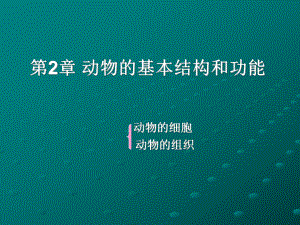 消化吸收疏松结缔组织课件.ppt