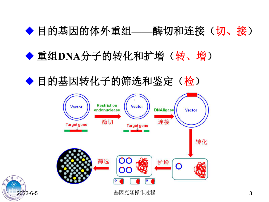 第六章基因克隆操作过程课件.ppt_第3页