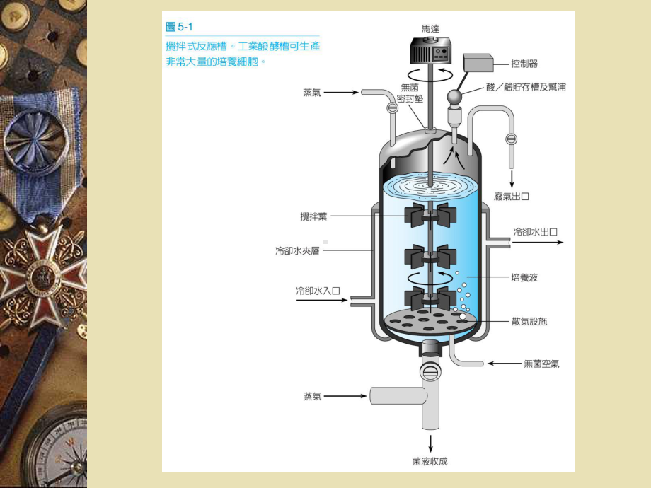 第05章微生物生物技术课件.ppt_第3页