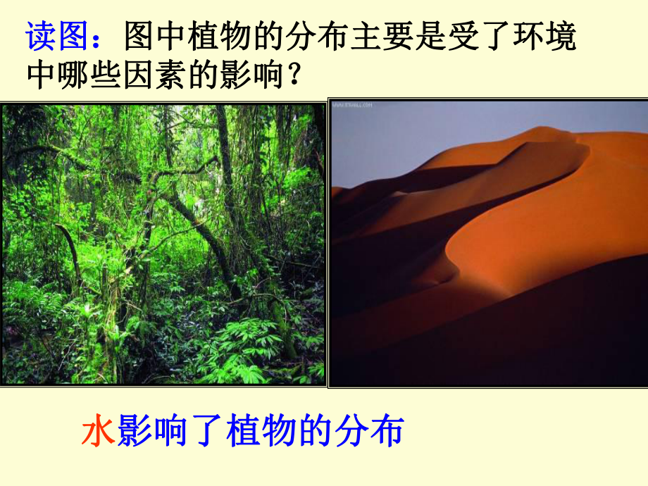 生物与环境的相互关系课件.ppt_第3页