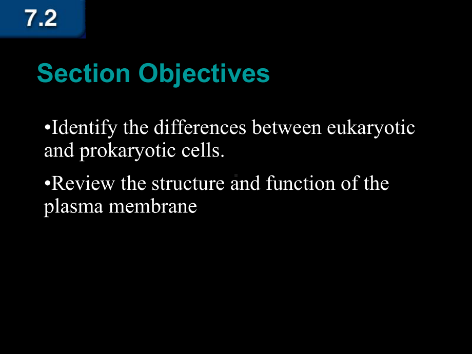 Cell-Types-Review-and-Plasma-membrane细胞类型的审查与等离子体膜共19页课件.ppt_第2页