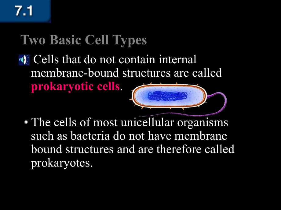 Cell-Types-Review-and-Plasma-membrane细胞类型的审查与等离子体膜共19页课件.ppt_第3页