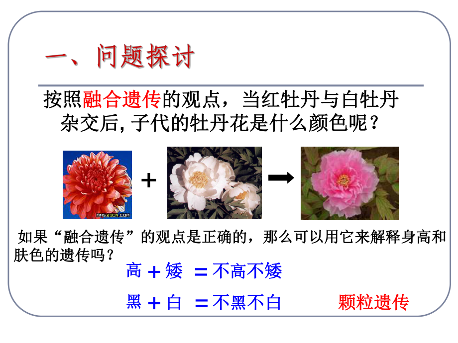 孟德尔的豌豆杂交试验课件.ppt_第3页