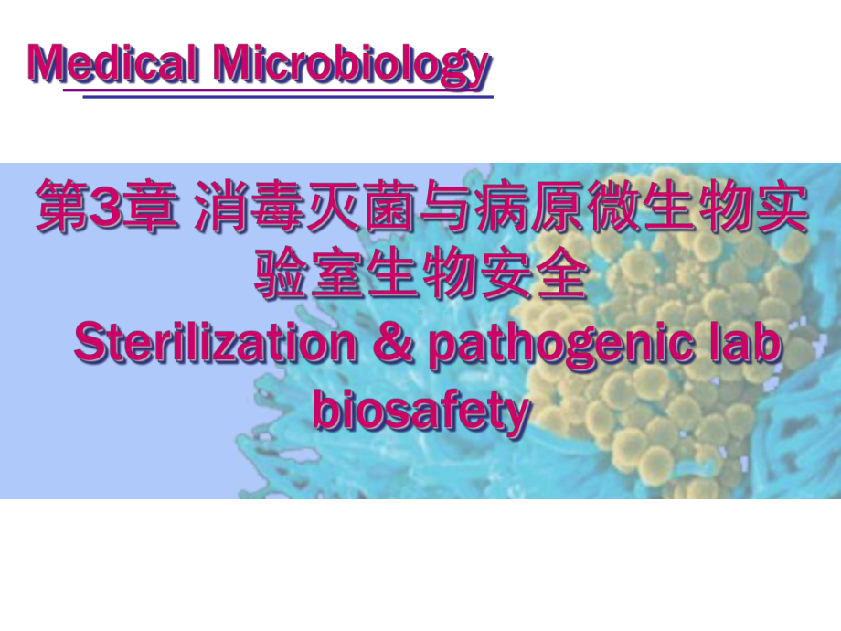 病原微生物试验室的分级课件.ppt_第1页