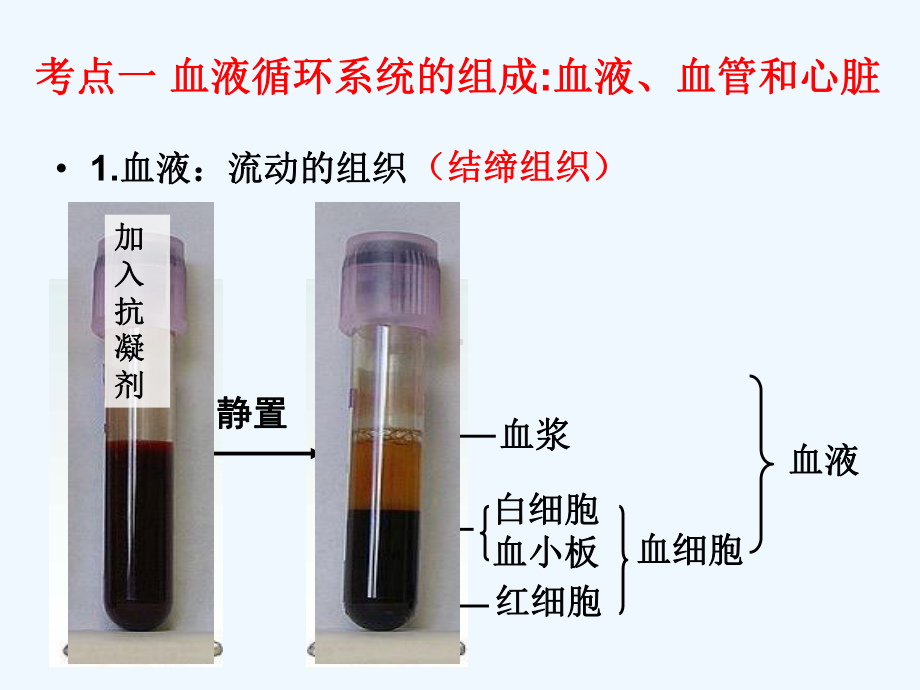 人体内的物质运输公开课课件.ppt_第2页