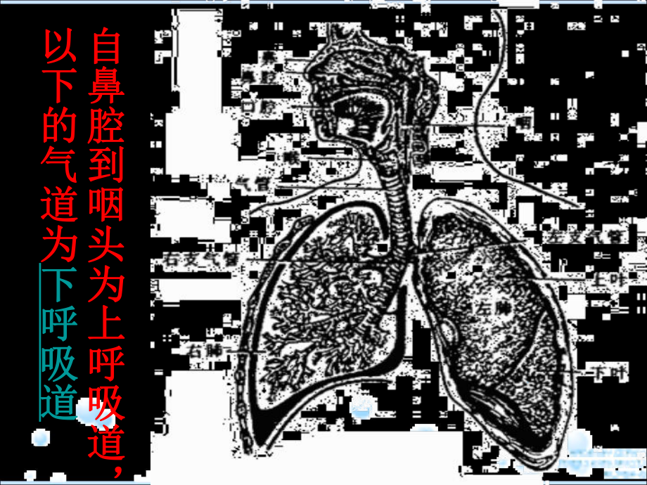 人工气道的建立与与管理课件.ppt_第3页