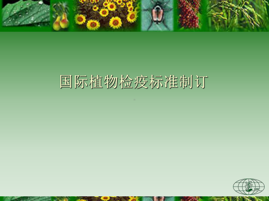 国际植物检疫标准制订课件.ppt_第1页