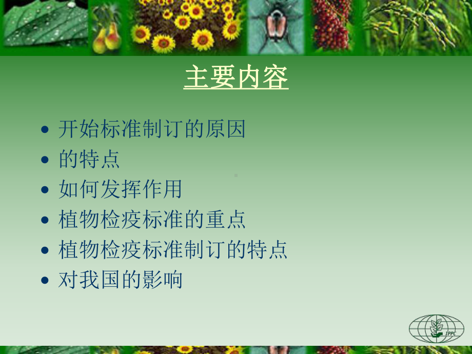 国际植物检疫标准制订课件.ppt_第2页