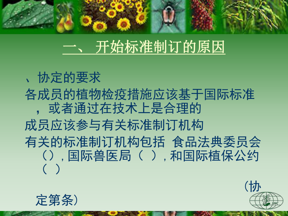 国际植物检疫标准制订课件.ppt_第3页