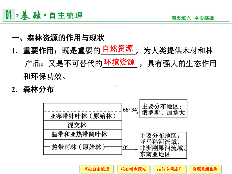 三部分十三讲森林的开发和保护-以亚马孙热带雨林为例课件.ppt_第2页