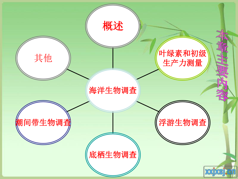 海洋生物调查动态信息课件.ppt_第3页