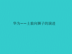 华为案例分析ppt课件.ppt