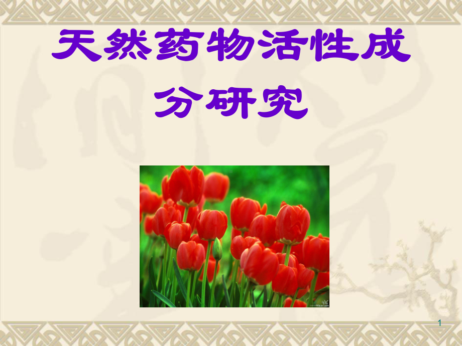 天然药物活性成分的研究课件.ppt_第1页