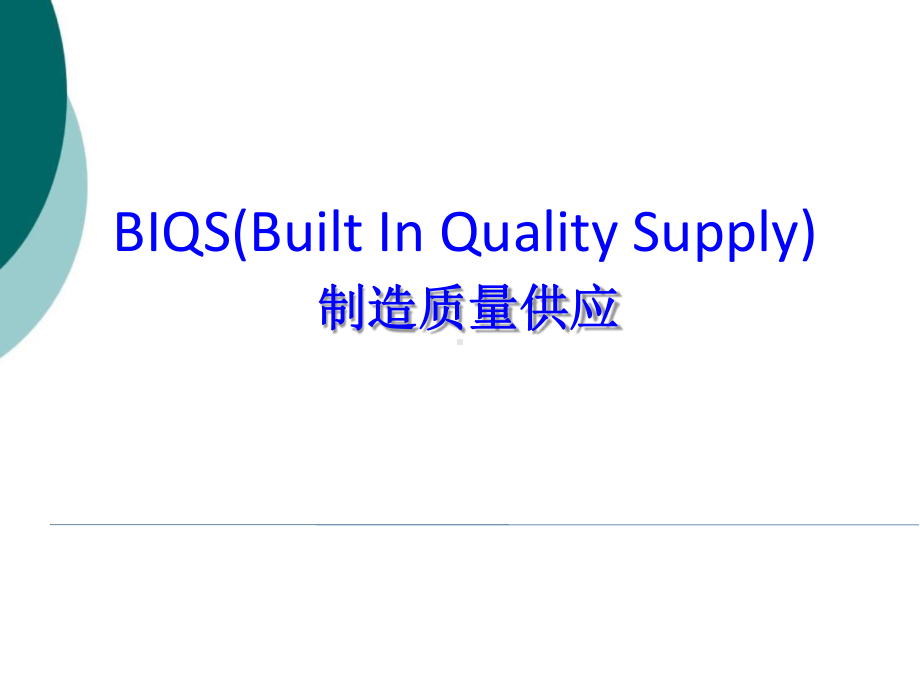 通用BIQS培训资料课件.ppt_第1页