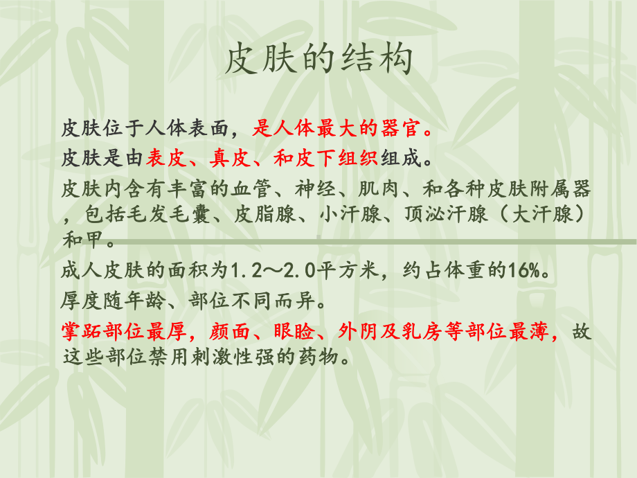 皮肤及软组织-副本课件.ppt_第1页