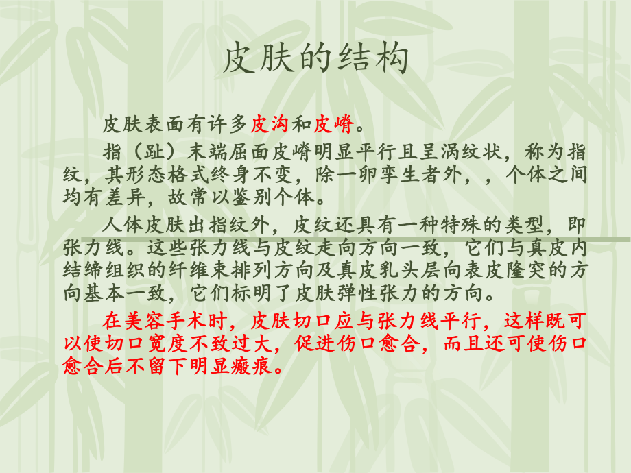 皮肤及软组织-副本课件.ppt_第3页