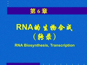 RNA的生物合成转录课件.ppt